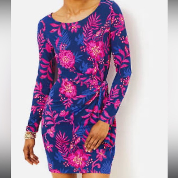 NWT Lilly Pulitzer Bryson Long Sleeve Dress, Blue Med Never Ending Summer Sz L - Picture 8 of 8